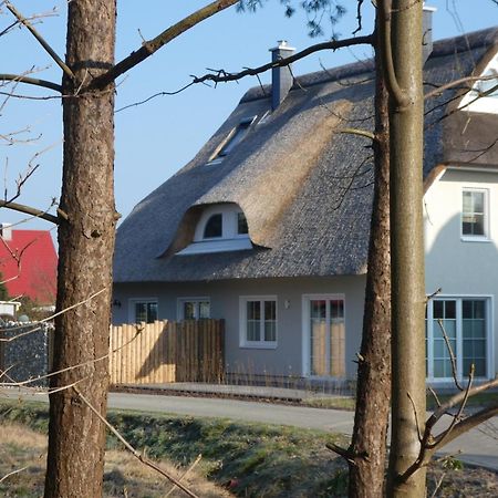 Kleine Seenixe Zingst Luaran gambar